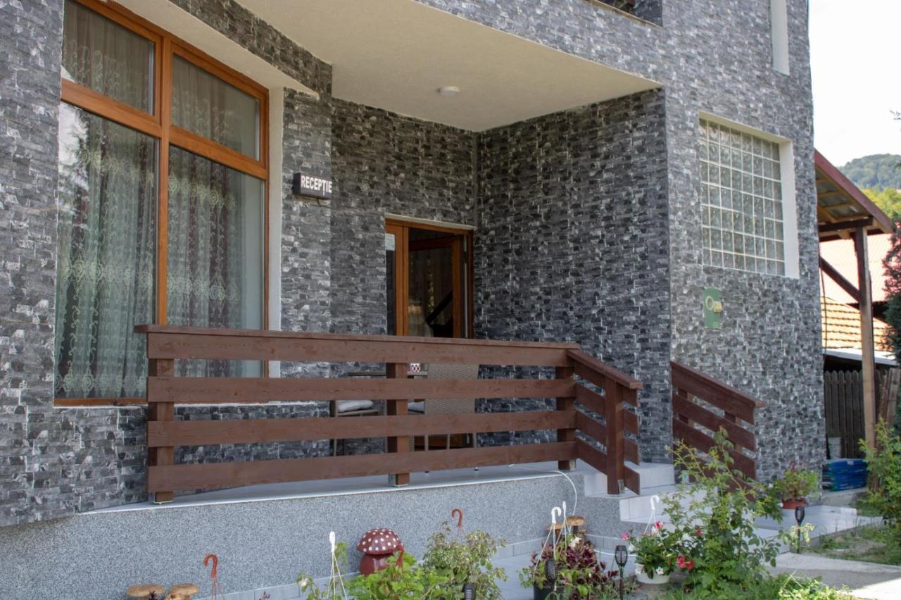 Pensiunea Ricky Capatineni-Ungureni Exterior photo