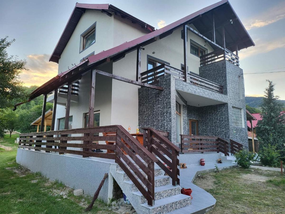 Pensiunea Ricky Capatineni-Ungureni Exterior photo